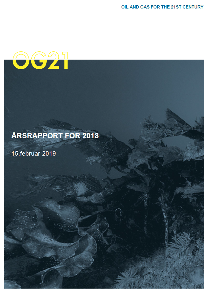 Årsrapport 2018 - forsidebilde.PNG